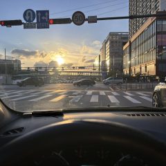 드라이브 공포 극복했어요!