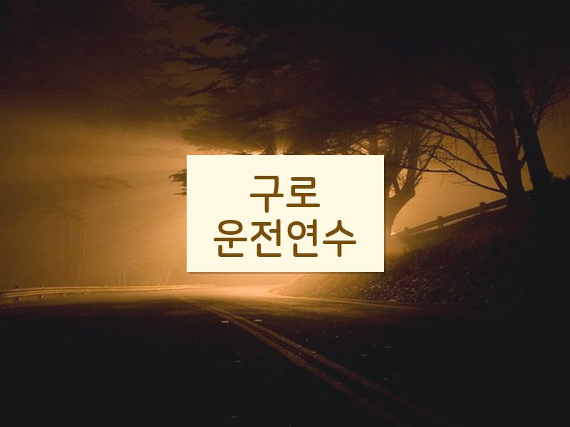 구로운전연수 후기