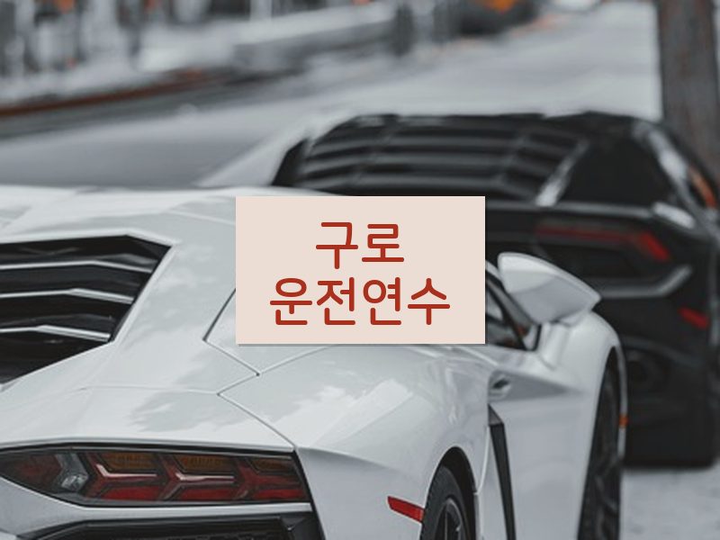 구로운전연수 후기