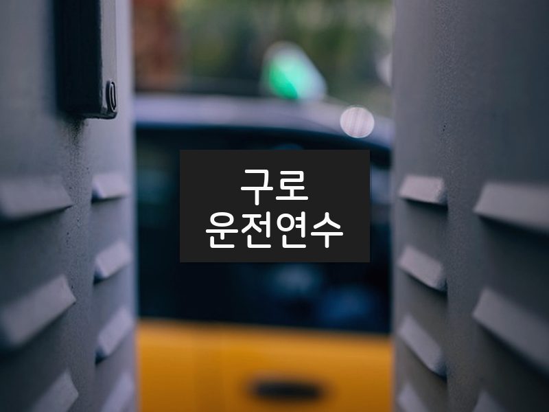 구로운전연수 후기