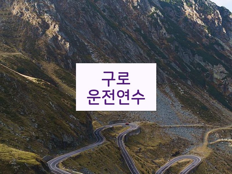 구로운전연수 후기
