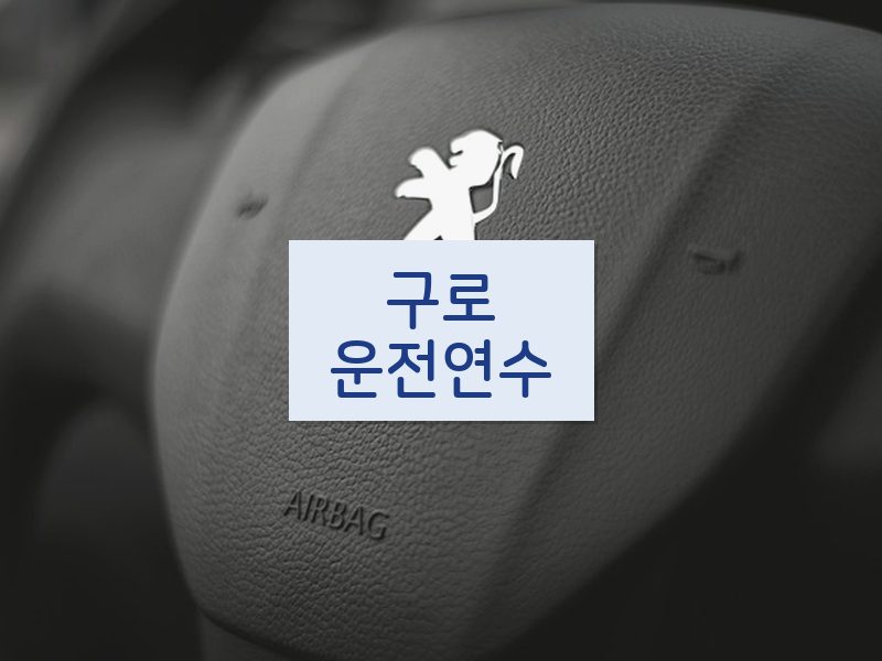 구로운전연수 후기