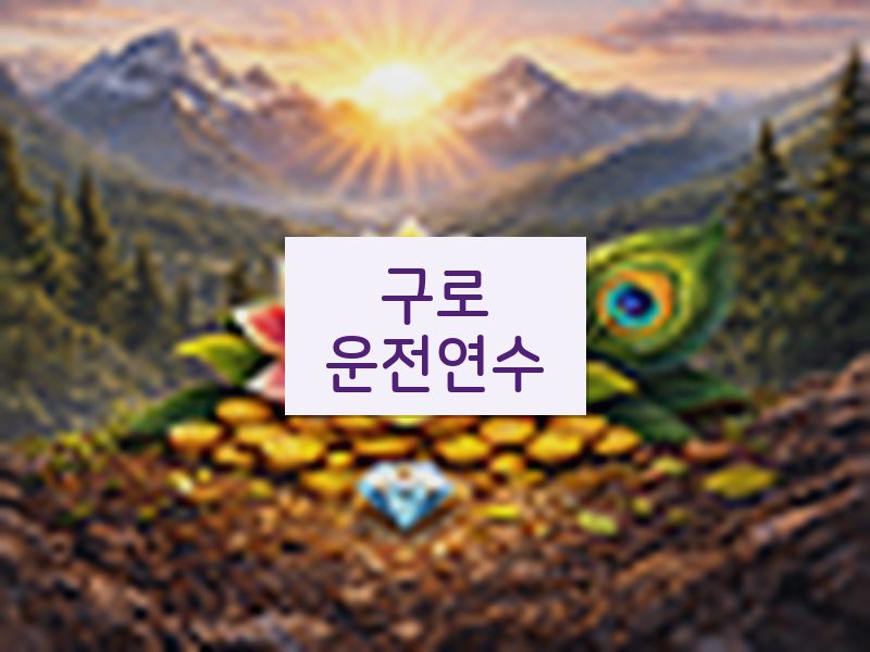 구로운전연수 후기