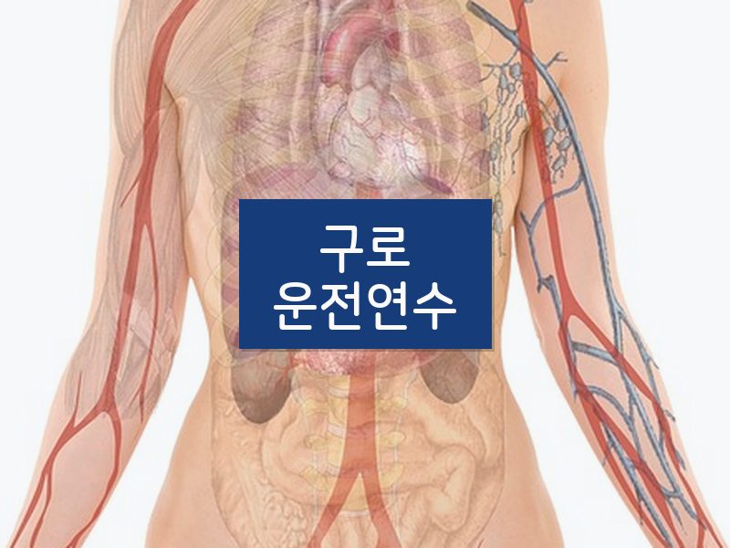 구로운전연수 후기
