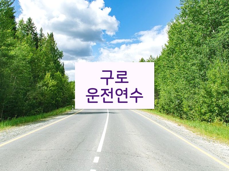 구로운전연수 후기