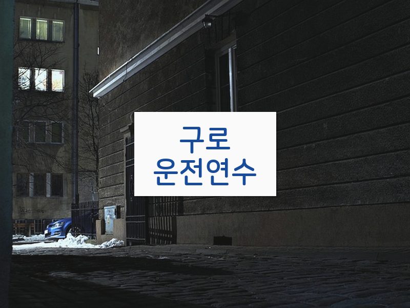 구로운전연수 후기