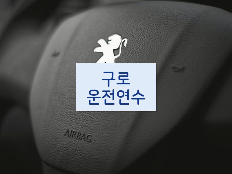 구로운전연수 후기