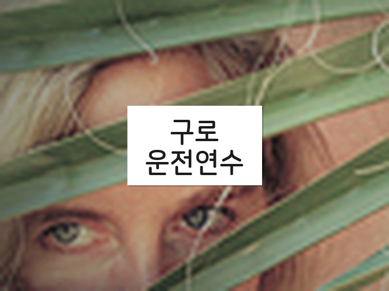 구로운전연수 후기