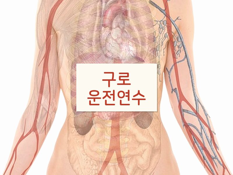 구로운전연수 후기