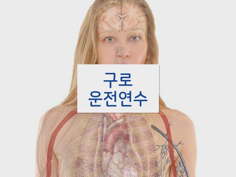 구로운전연수 후기