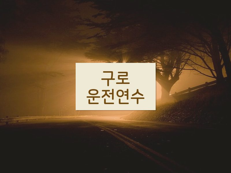 구로운전연수 후기