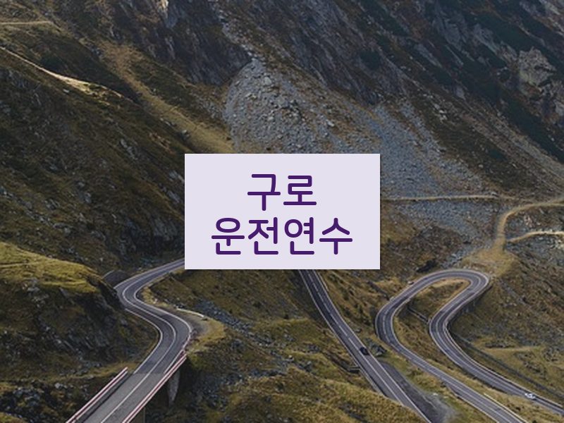 구로운전연수 후기