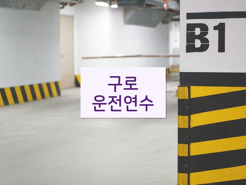 구로운전연수 후기