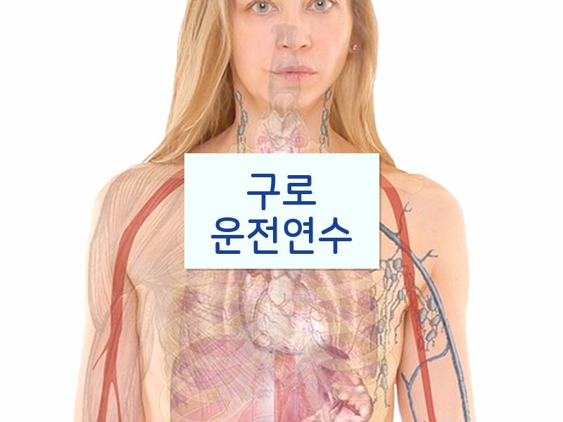 구로운전연수 후기