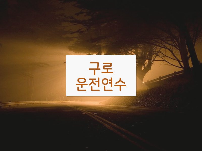 구로운전연수 후기