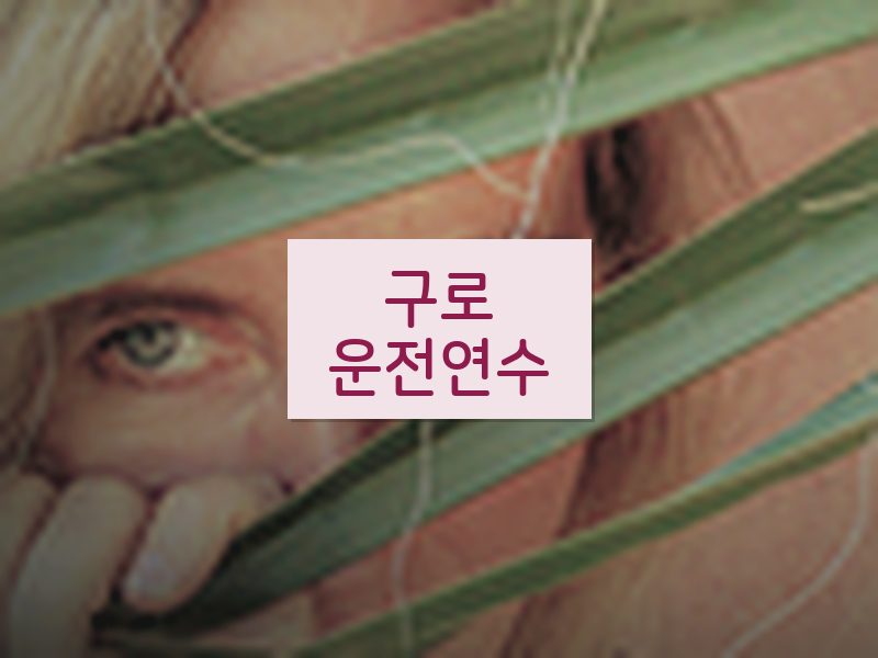 구로운전연수 후기