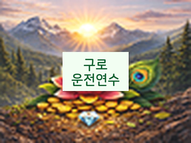 구로운전연수 후기