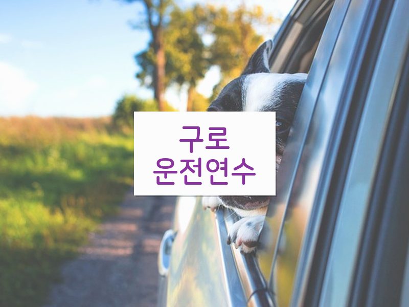 구로운전연수 후기