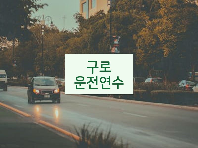 구로운전연수 후기