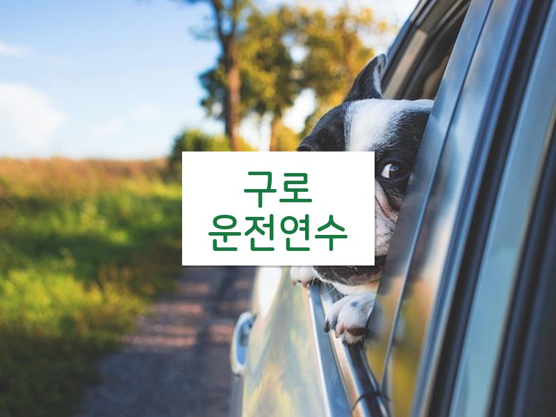 구로운전연수 후기