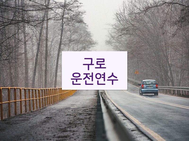 구로운전연수 후기