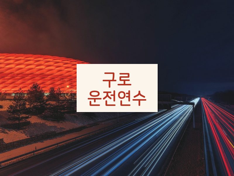 구로운전연수 후기