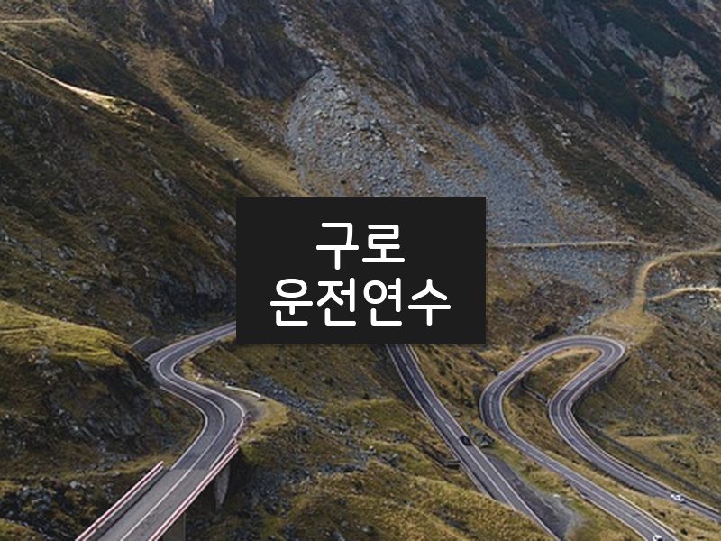 구로운전연수 후기