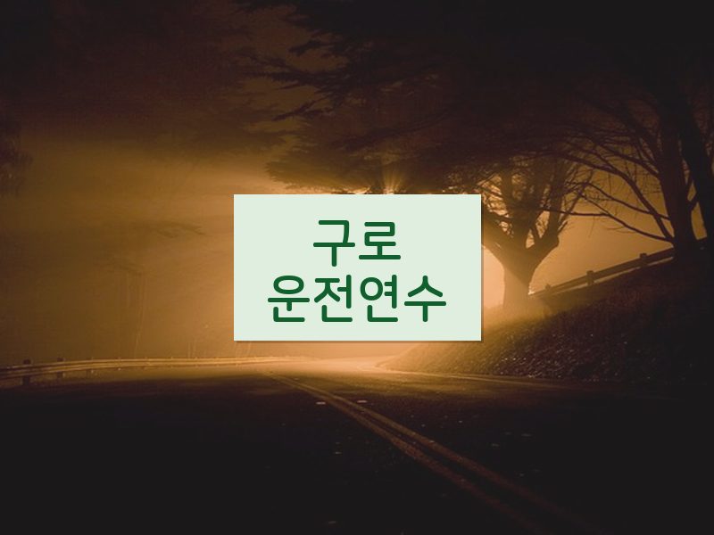 구로운전연수 후기