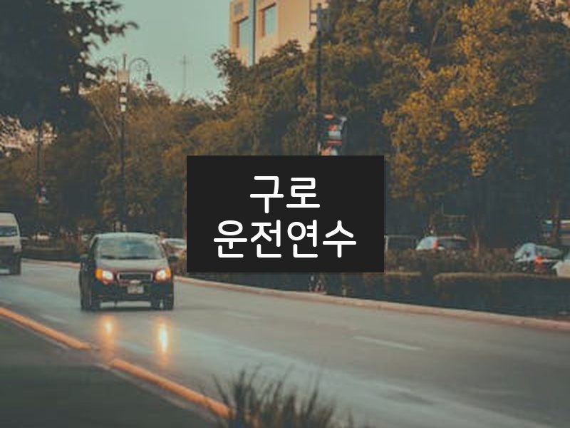 구로운전연수 후기