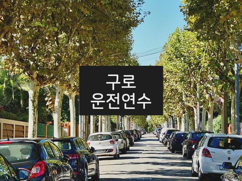 구로운전연수 후기