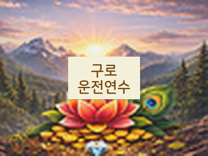 구로운전연수 후기