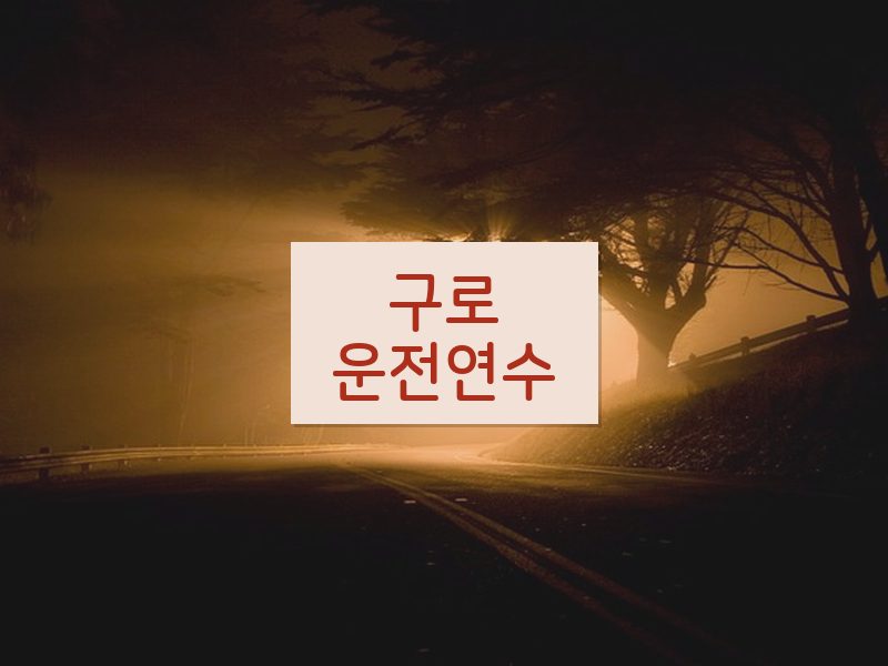 구로운전연수 후기