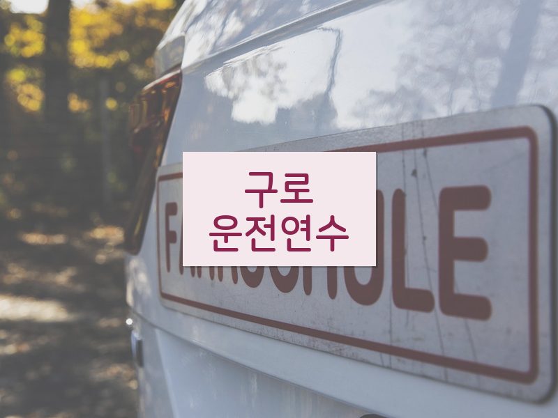 구로운전연수 후기