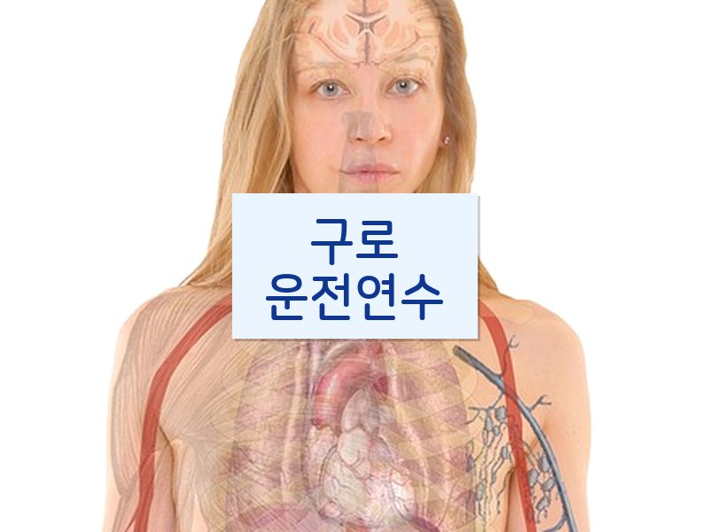 구로운전연수 후기