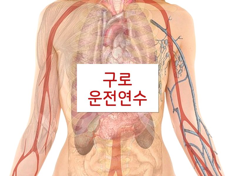 구로운전연수 후기