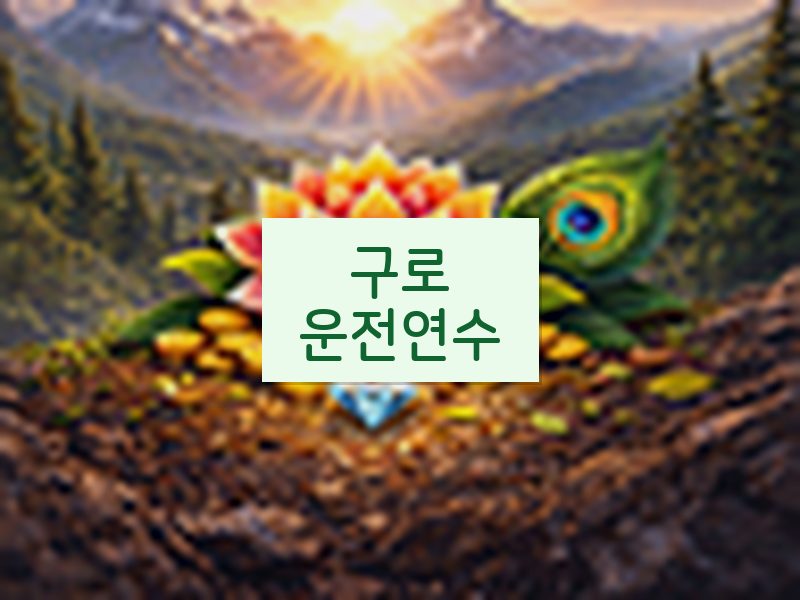 구로운전연수 후기