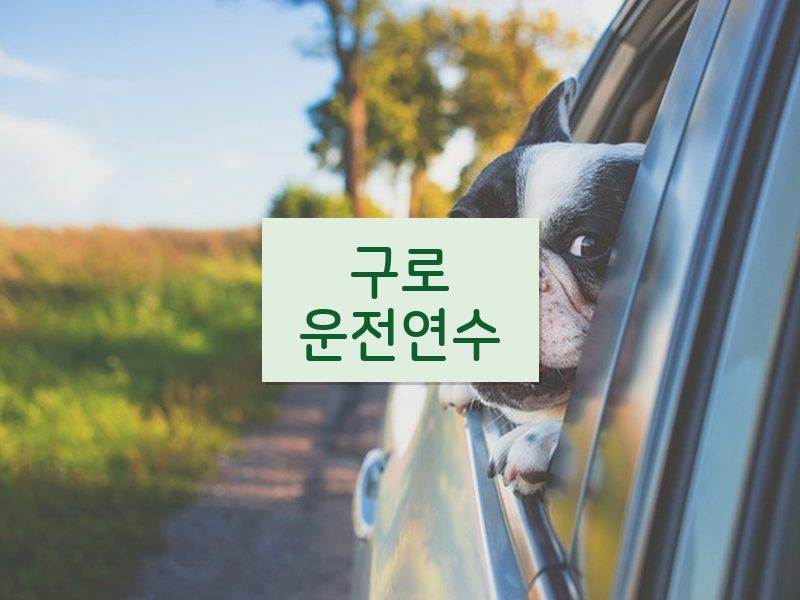 구로운전연수 후기