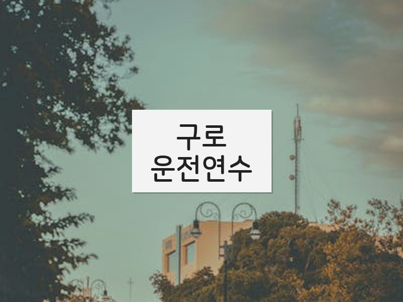 구로운전연수 후기