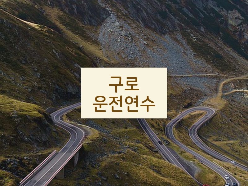 구로운전연수 후기