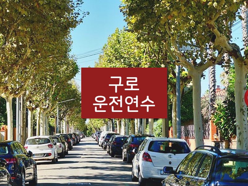 구로운전연수 후기