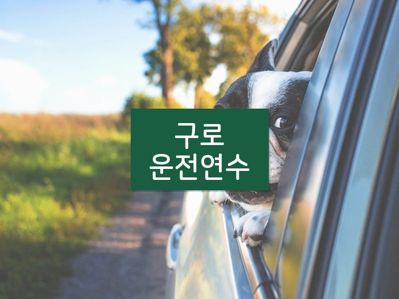 구로운전연수 후기
