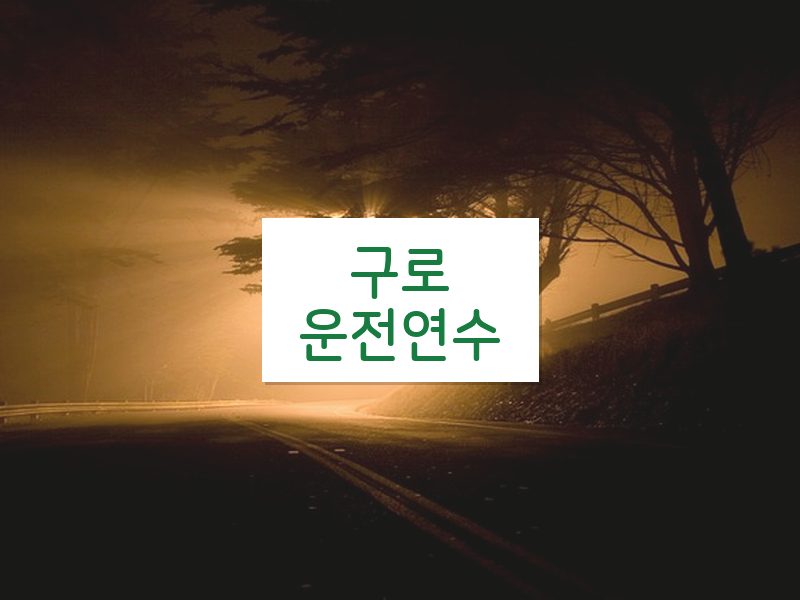 구로운전연수 후기