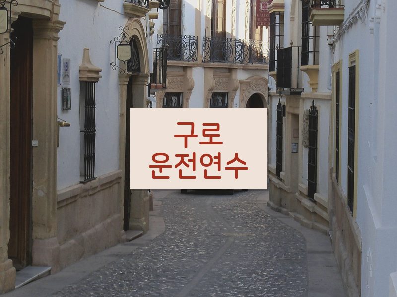 구로운전연수 후기