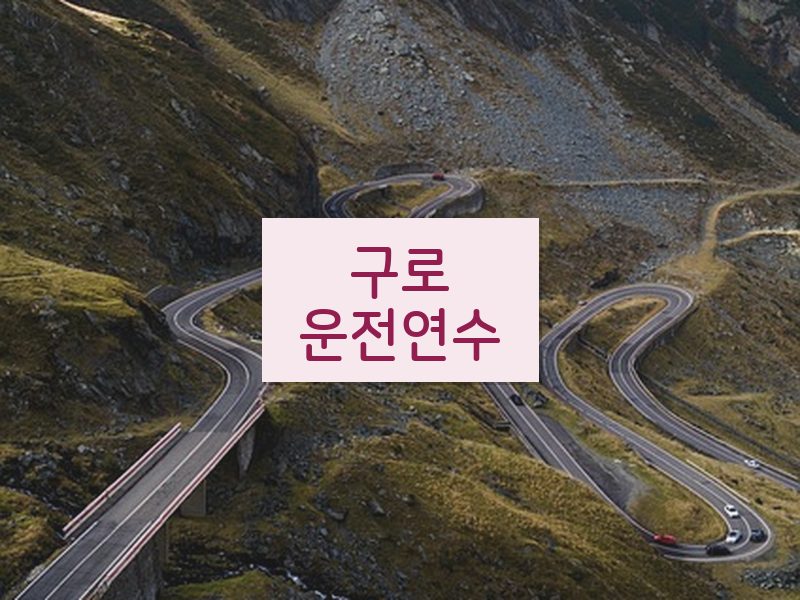구로운전연수 후기