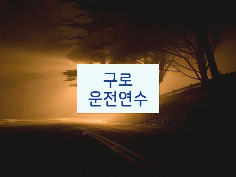 구로운전연수 후기