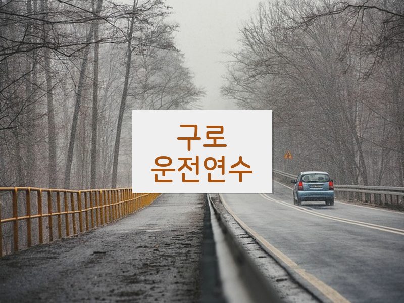 구로운전연수 후기