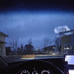 30대 장롱면허 졸업! 후기 이미지