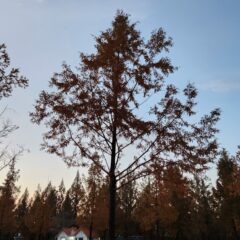 운전 포기했다가 재도전 후기 이미지