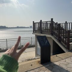 운전이 이렇게 쉬웠다니 후기 이미지