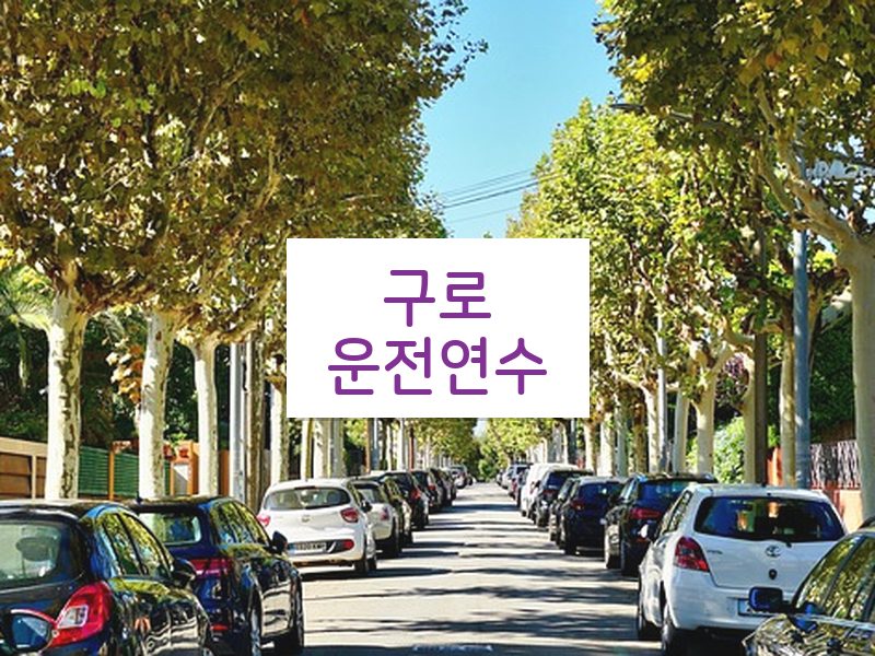 구로운전연수 후기
